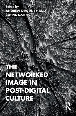The Networked Image in Post-Digital Culture - 