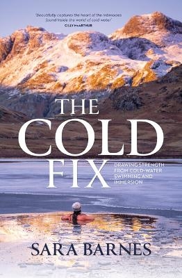 The Cold Fix - Sara Barnes