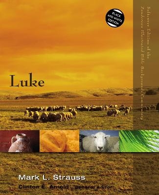 Luke - Mark L. Strauss