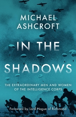 In the Shadows - Michael Ashcroft