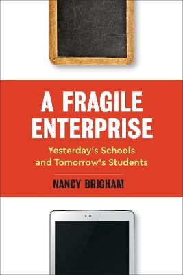 A Fragile Enterprise - Nancy Brigham