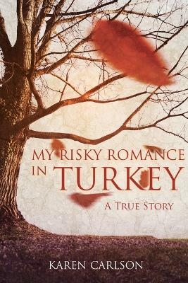 My Risky Romance in Turkey - Karen Carlson