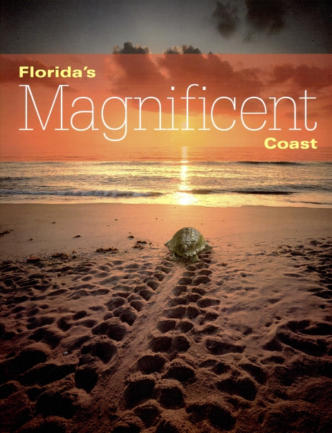 Florida's Magnificent Coast - James Valentine, D. Bruce Means