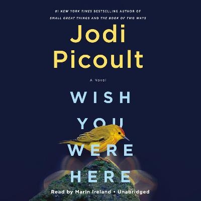 Wish You Were Here - Jodi Picoult