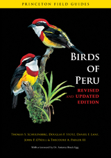 Birds of Peru -  Theodore A. Parker III,  Daniel F. Lane,  John P. O'Neill,  Thomas S. Schulenberg,  Douglas F. Stotz