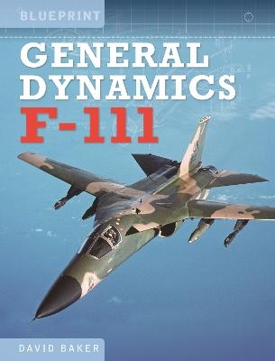 General Dynamics F-111 - David Baker