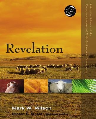 Revelation - Mark W. Wilson