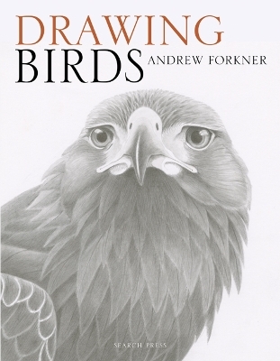 Drawing Birds - Andrew Forkner