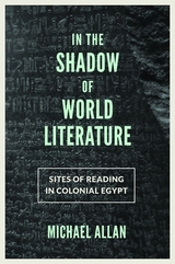 In the Shadow of World Literature - Michael Allan