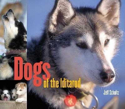 Dogs of the Iditarod - Jeff Schultz