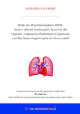 Rolle des Wachstumsfaktors BDNF (brain - derived neurotrophic factor) in der Hypoxie - induzierten Pulmonalen Hypertonie und Rechtsherzhypertrophie im Mausmodell - Katharina Schäfer