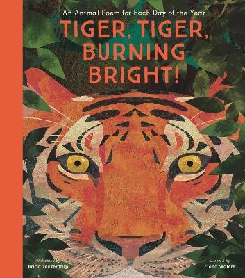 Tiger, Tiger, Burning Bright! - 
