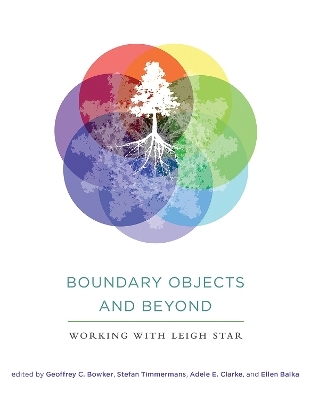 Boundary Objects and Beyond - 