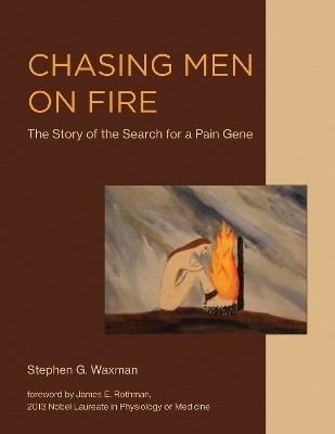 Chasing Men on Fire - Stephen G. Waxman