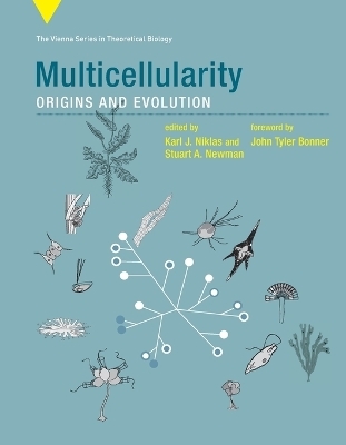 Multicellularity - 
