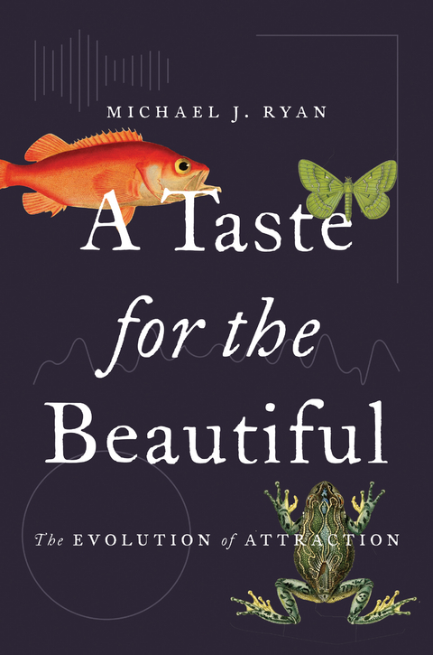 Taste for the Beautiful -  Michael J. Ryan