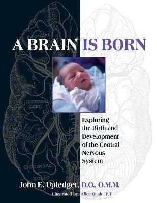 A Brain Is Born - John E. Upledger
