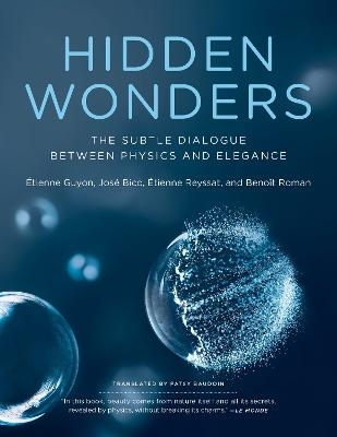 Hidden Wonders - Etienne Guyon, Jose Bico