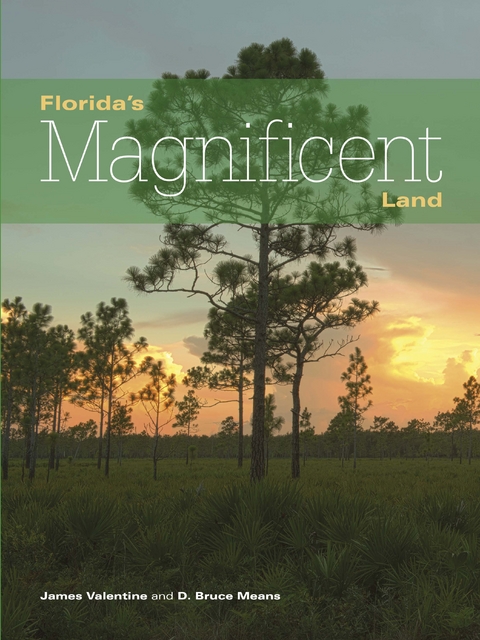 Florida's Magnificent Land - James Valentine, D. Bruce Means