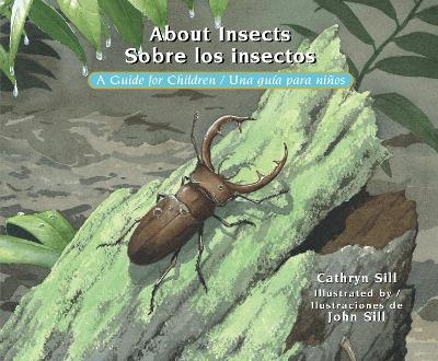 About Insects / Sobre los insectos - Cathryn Sill