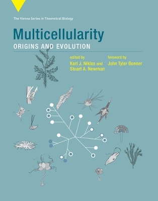 Multicellularity - 