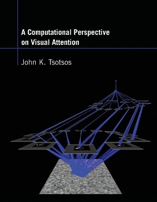 A Computational Perspective on Visual Attention - John K. Tsotsos