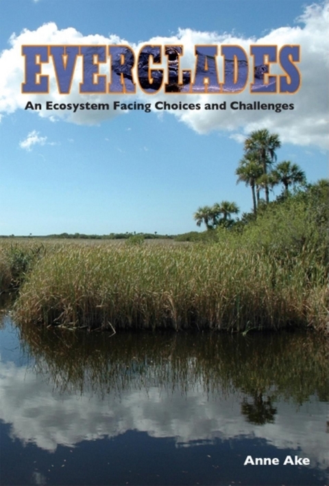 Everglades -  Anne Ake