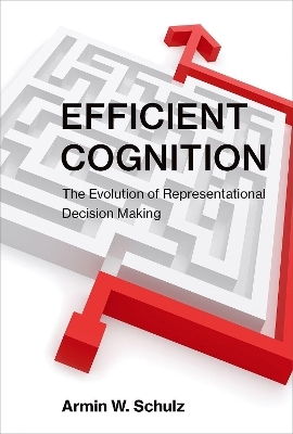 Efficient Cognition - Armin W. Schulz