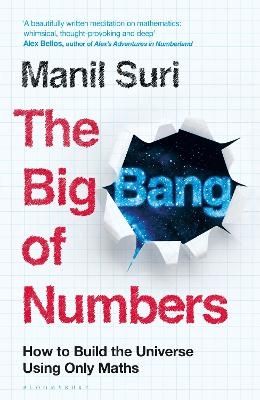 The Big Bang of Numbers - Manil Suri