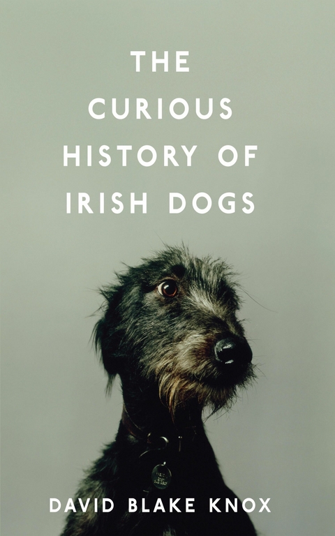 Curious History of Irish Dogs -  David Blake Knox