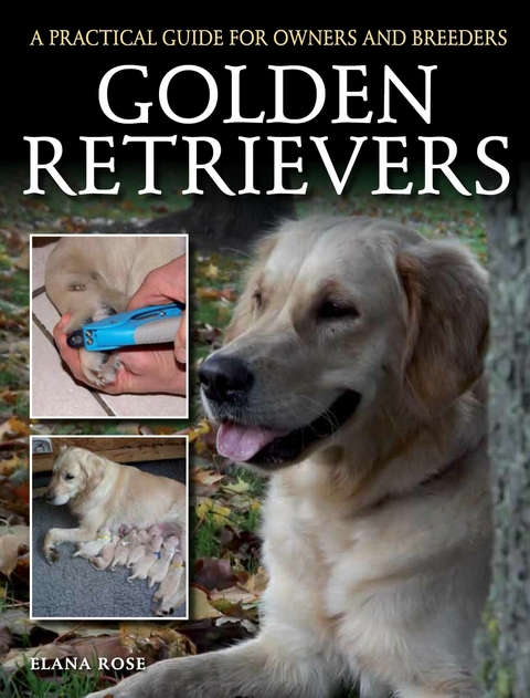 Golden Retrievers - Elana Rose