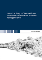 Numerical Study on Thermodiffusive Instabilities in Laminar and Turbulent Hydrogen Flames - Lukas Berger