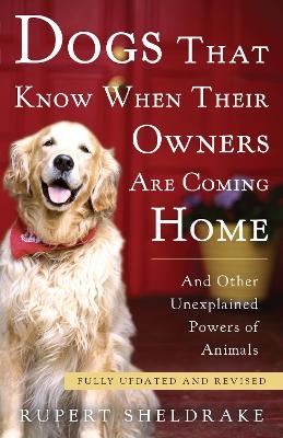 Dogs That Know When Their Owners Are Coming Home - Rupert Sheldrake