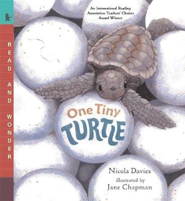 One Tiny Turtle - Nicola Davies