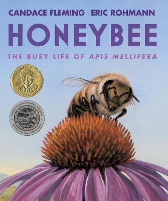 Honeybee - Candace Fleming