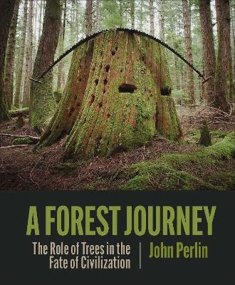The Forest Journey - John Perlin