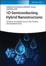 1D Semiconducting Hybrid Nanostructures - 