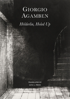 Hölderlin′s Madness – Chronicle of a Dwelling Life, 1806–1843 - Giorgio Agamben, Alta L. Price