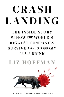Crash Landing - Liz Hoffman