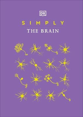 Simply The Brain -  Dk