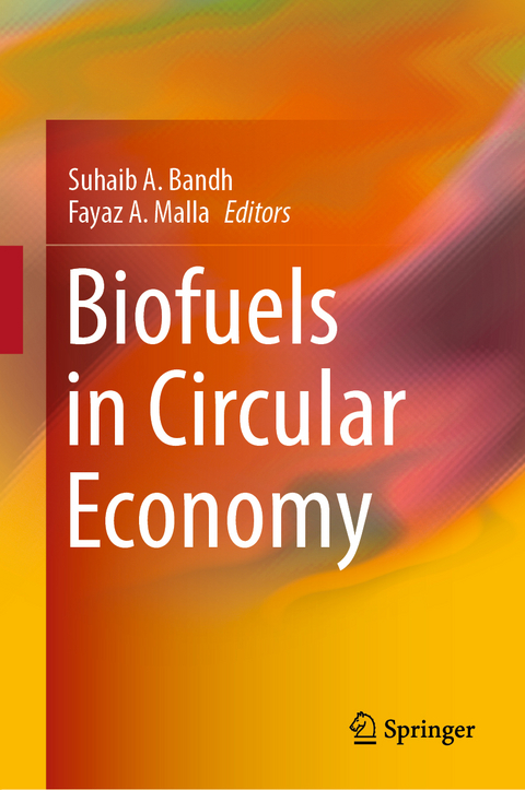 Biofuels in Circular Economy - 