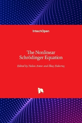 The Nonlinear Schrödinger Equation - 