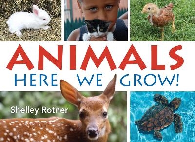 Animals! - Shelley Rotner