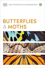Butterflies and Moths - Carter, David