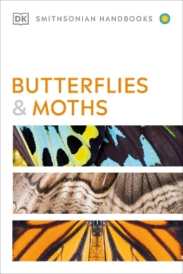 Butterflies and Moths - David Carter