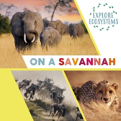 Explore Ecosystems: On a Savannah - Sarah Ridley