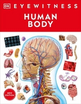 Eyewitness Human Body - Dk