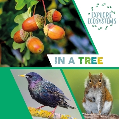 Explore Ecosystems: In a Tree - Sarah Ridley