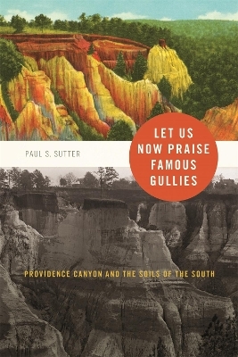 Let Us Now Praise Famous Gullies - Paul S. Sutter