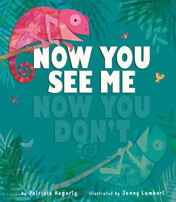 Now You See Me, Now You Don't - Patricia Hegarty